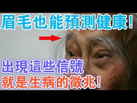 右邊眉毛長白毛|眉毛突然出現長毛 究竟代表什麼意思？